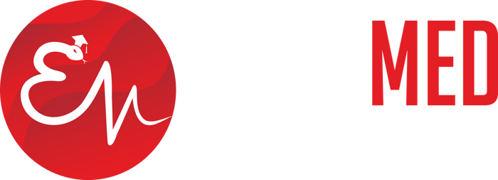 Euromed School